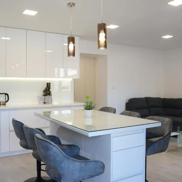 Apartman Milena，位于索林的酒店