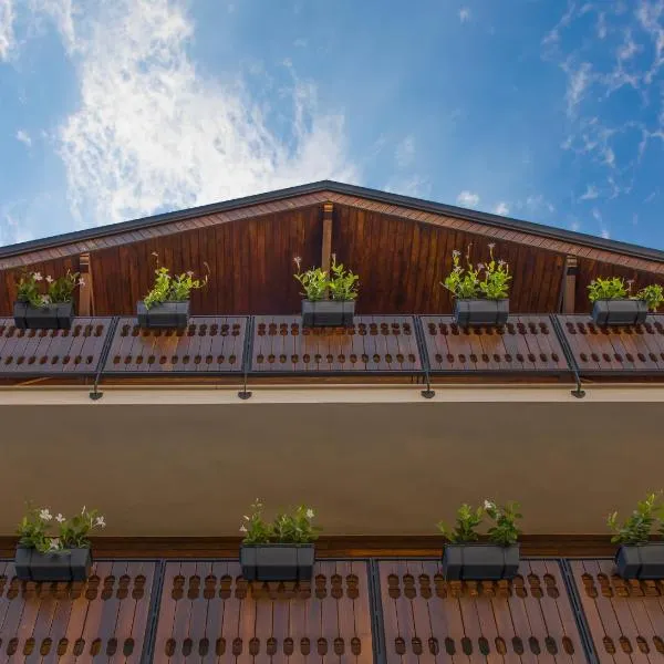 Hotel Dolomiti，位于Trivigno的酒店