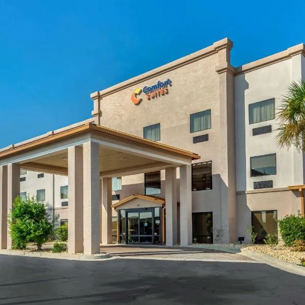 Comfort Suites near Robins Air Force Base，位于Fort Valley的酒店