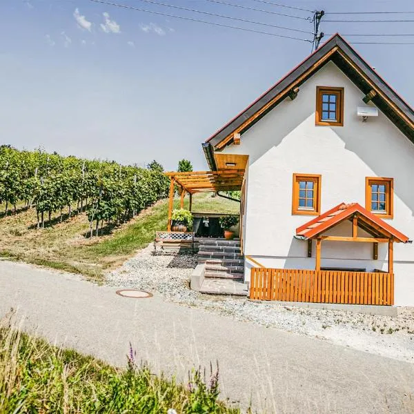 Ferienhaus Gaas Weinberg，位于Gaas的酒店