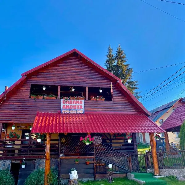 Cabana Ancuța，位于帕迪斯的酒店