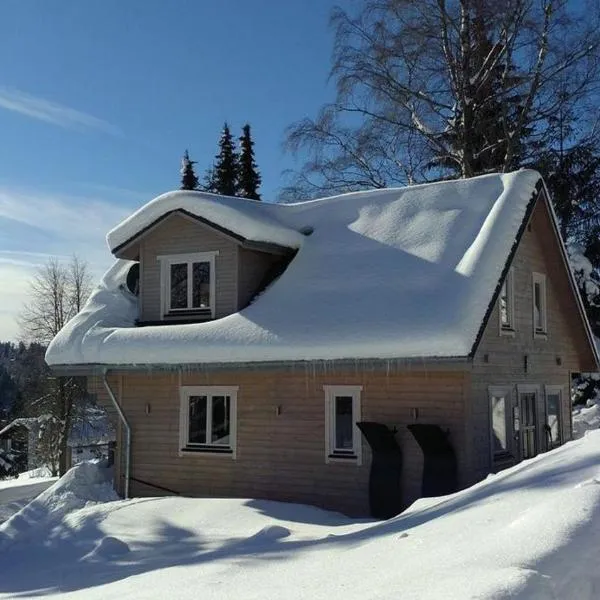 Chalets zum Latschen，位于毛特的酒店