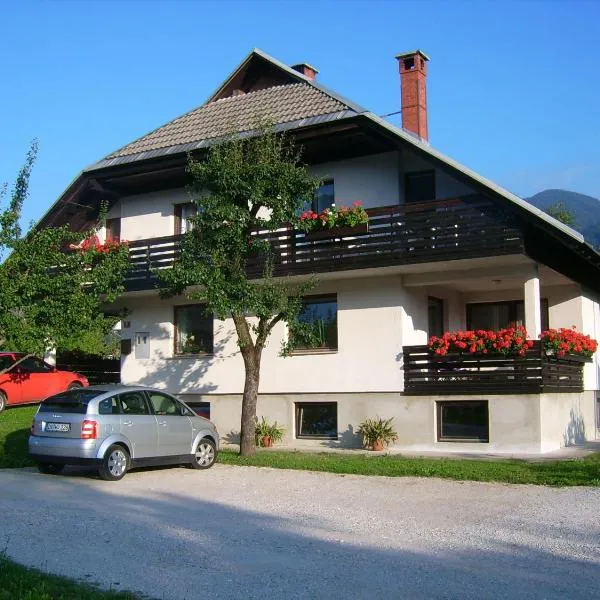 Apartments Žnidar，位于Srednja Vas v Bohinju的酒店