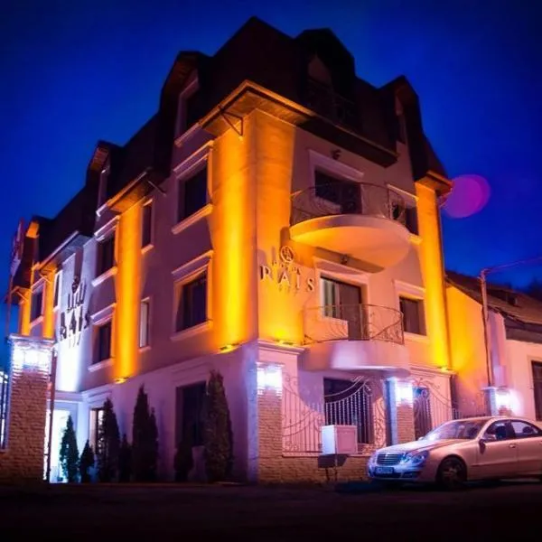 赖斯酒店，位于Ţicleni的酒店