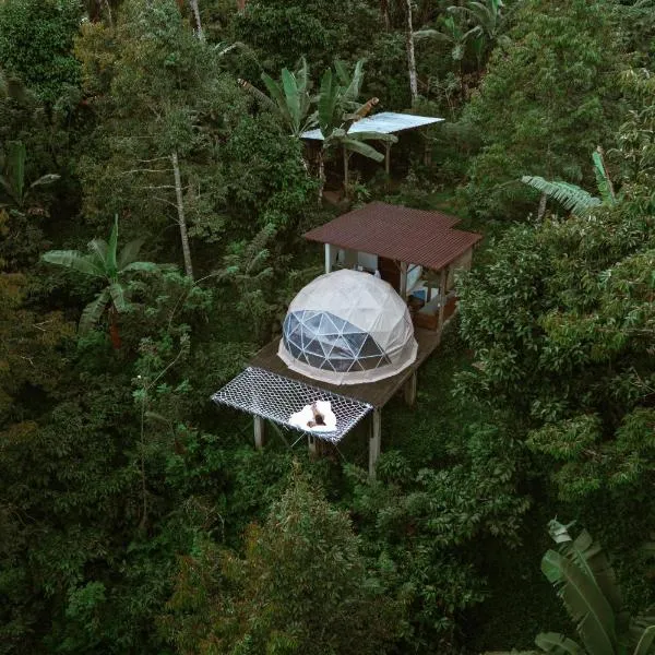 Bali Jungle Camping by Amerta Experience，位于塔巴南的酒店