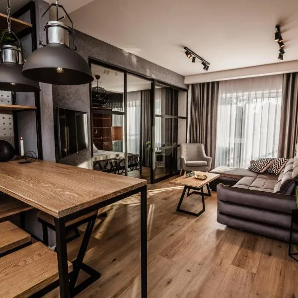 Loft Apartament Aleje Wolności Nowy Sącz，位于新松奇的酒店
