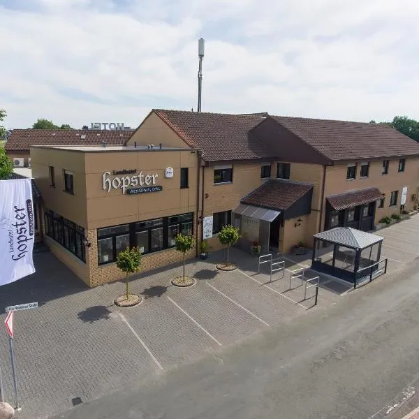 Landhotel Hopster，位于赖讷的酒店