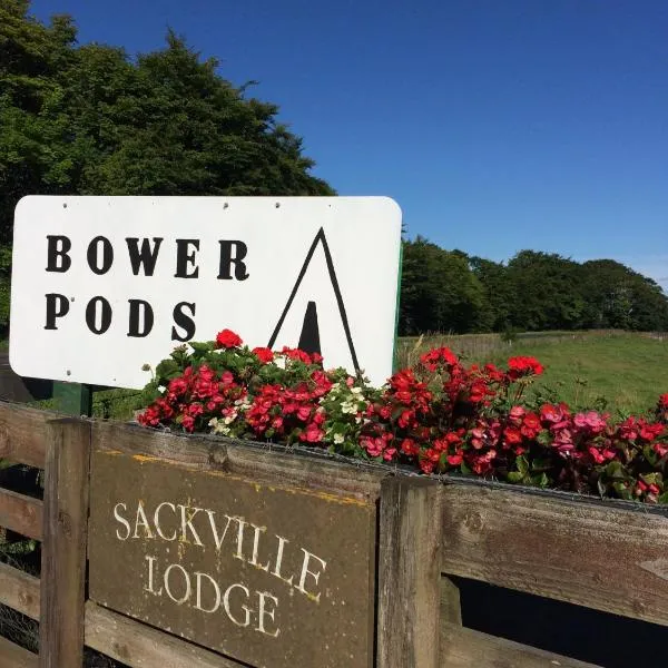 Bower Pods，位于Dunnet的酒店
