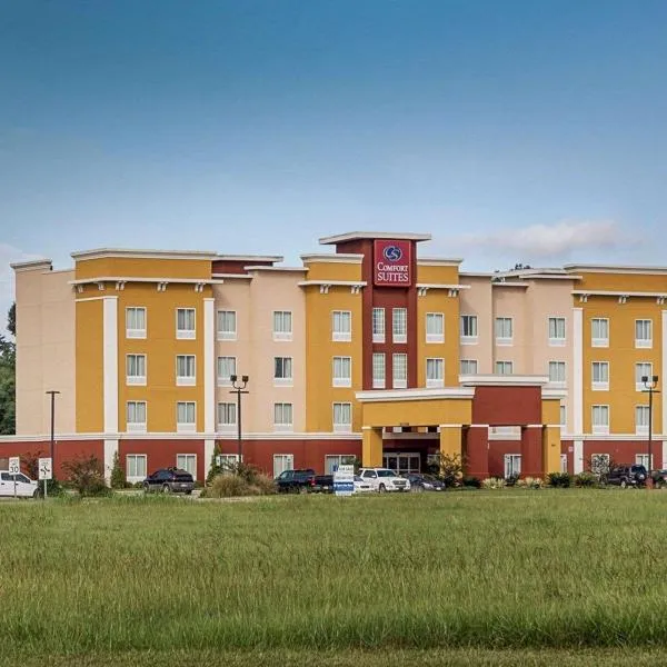 Comfort Suites near Tanger Outlet Mall，位于Prairieville 的酒店