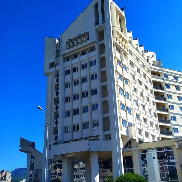 玛拉酒店，位于Lăpuşel的酒店