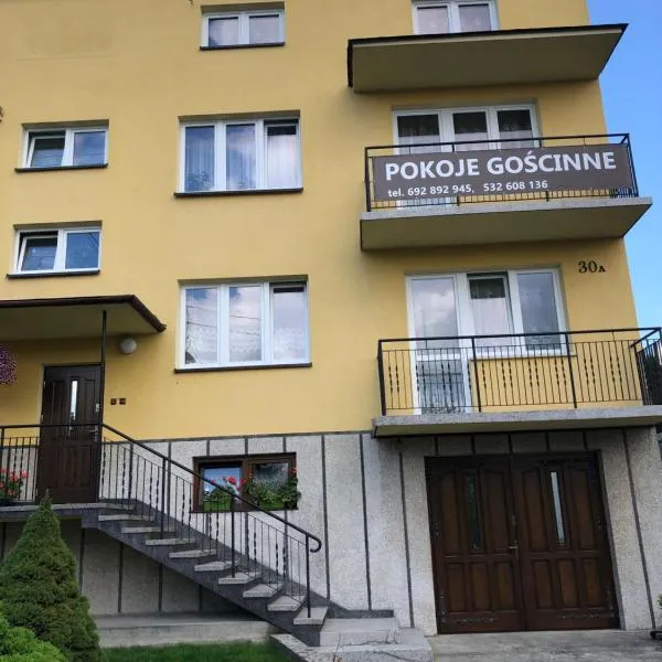 Pokoje Gościnne，位于Wołowice的酒店