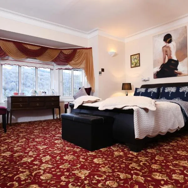 Luxury Suite in quiet countryside location，位于Brynamman的酒店