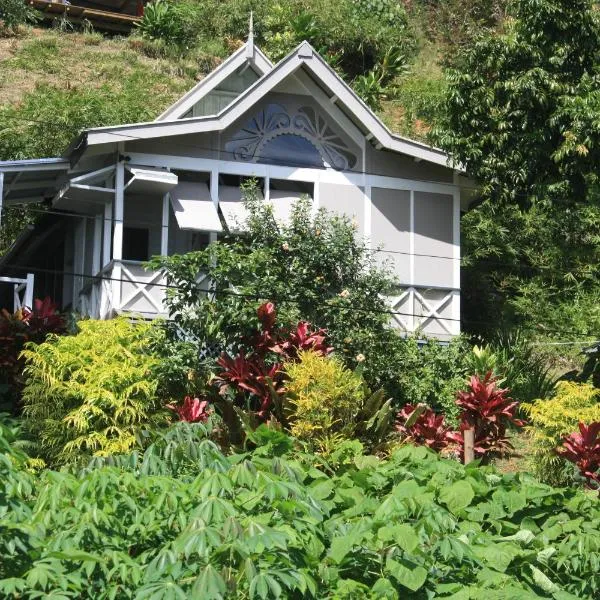 Gingerbread Cottage and Studio Fiji，位于Naindi的酒店