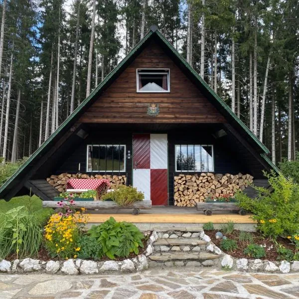 Berghütte Waldheimat，位于Strallegg的酒店