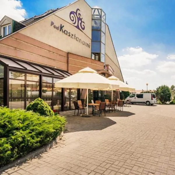 Hotel Pod Kasztanami，位于Niedrzwica Kościelna的酒店