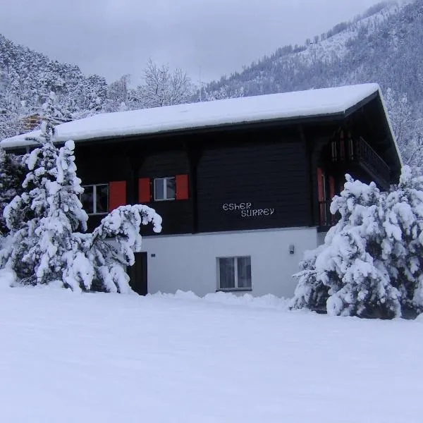 Chalet Esher Surrey，位于Ried-Brig的酒店