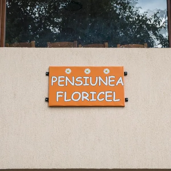 Pensiunea Floricel，位于Cetatenii的酒店