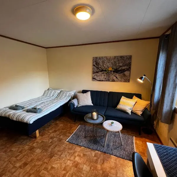 Privat rom i leilighet，位于Slinda的酒店