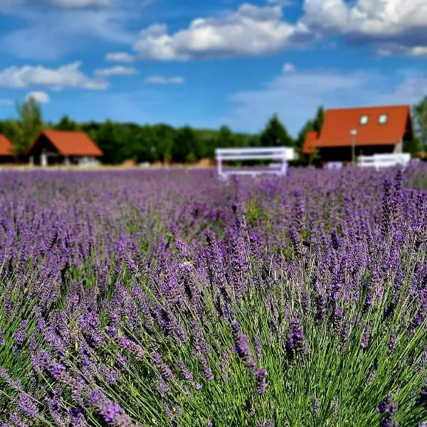 Lawendowy Zakątek Machowino- Domek Blue Scent，位于乌斯特卡的酒店