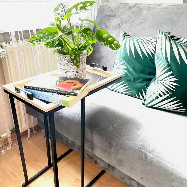 Studio przy Starówce，位于奥尔什丁的酒店