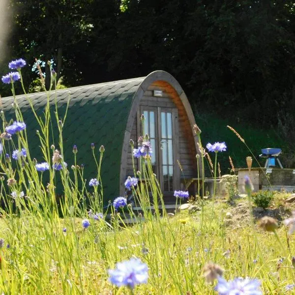 Cosy Pod-Cabin near beautiful landscape in Omagh，位于Newtownstewart的酒店