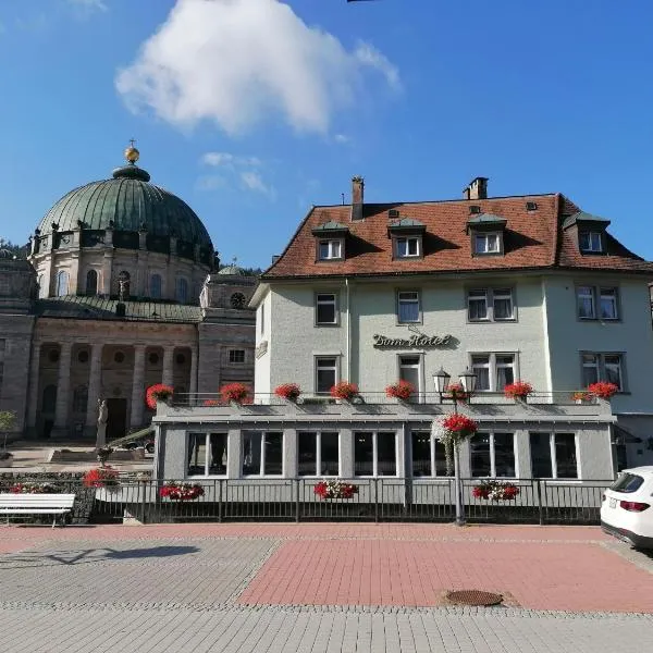 多姆酒店，位于Menzenschwand-Hinterdorf的酒店
