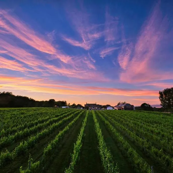 Llanerch Vineyard Hotel，位于兰特里森特的酒店