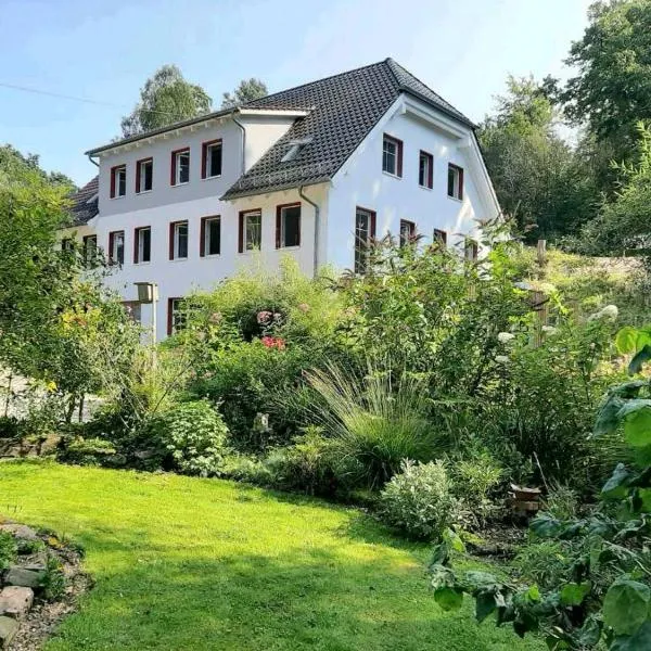 Alte Mühle，位于霍尔茨明登的酒店