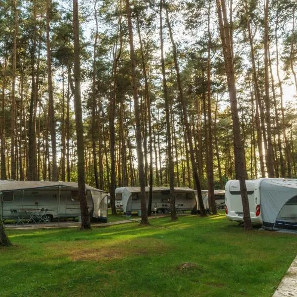 Urlaub im Wohnwagen mitten im Wald，位于Lütow的酒店