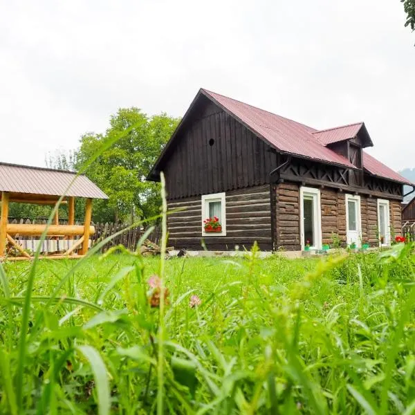 Wild-Traditional Bucovina，位于坎普朗莫道尼斯的酒店