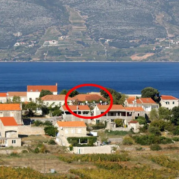 Apartments with a parking space Lumbarda, Korcula - 9262，位于鲁巴达的酒店