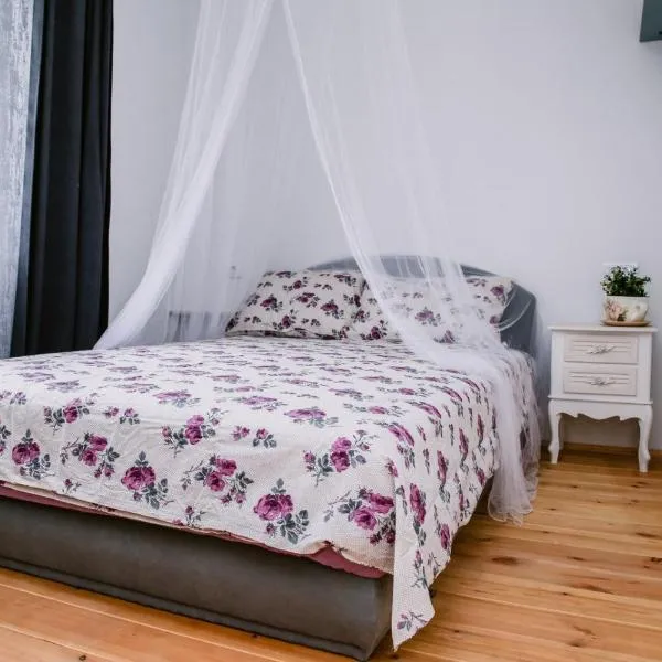 Kućerak Sofija，位于Čortanovci的酒店