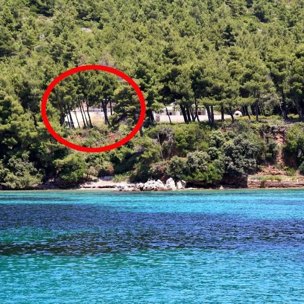 Apartments by the sea Zuljana, Peljesac - 10233，位于德雷斯的酒店