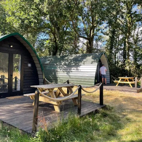 Nuthatch Cabin at Cloudshill Glade，位于威尔汉姆的酒店