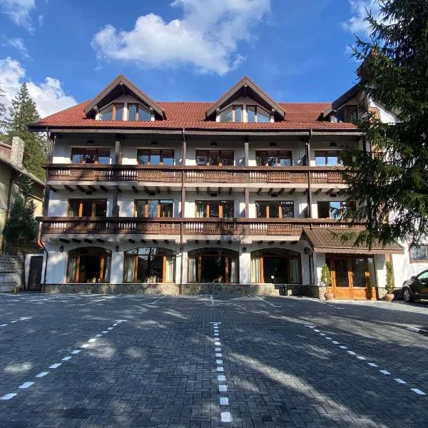 Chalet Wiese，位于波亚纳布拉索夫的酒店