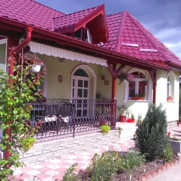 Casa Tenciu，位于Sînpetru的酒店