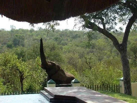 Muweti Bush Lodge，位于巴卢莱自然保护区的酒店