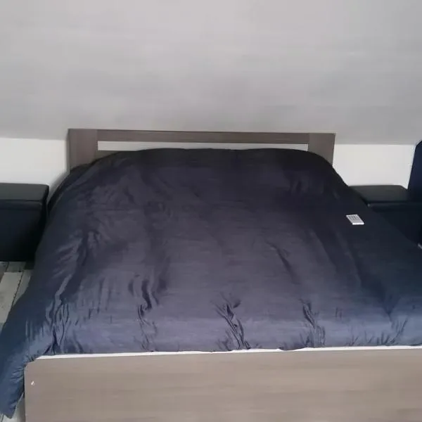 chambre à 800 mètres du mythique virage de Mulsanne，位于米萨讷的酒店