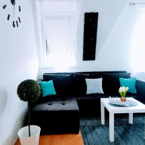 Dani Home Apartman，位于豪伊杜索博斯洛的酒店