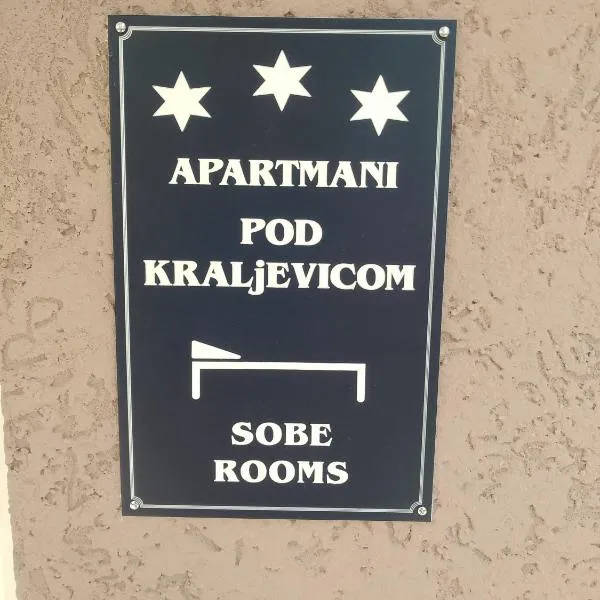 APARTMAN “POD KRALJEVICOM”，位于Rgotina的酒店