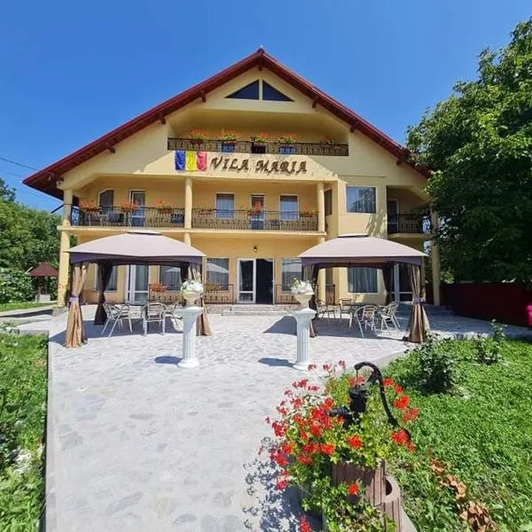 Pensiunea Vila Maria，位于Bodeşti的酒店