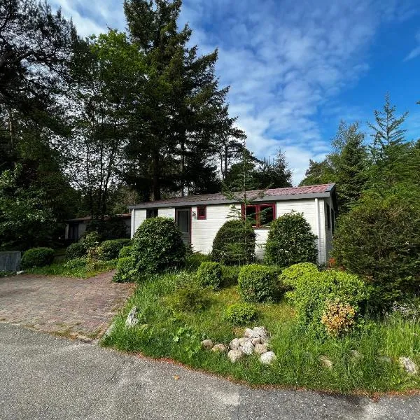 Boszicht，位于迪弗尔的酒店