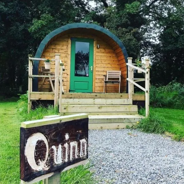 Carrigeen Glamping，位于Knockanuddoge的酒店