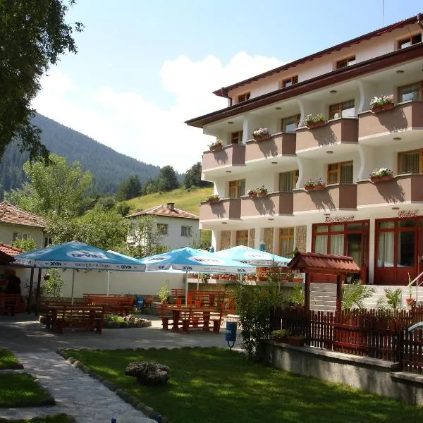 Yagodina Family Hotel，位于Zmeitsa的酒店