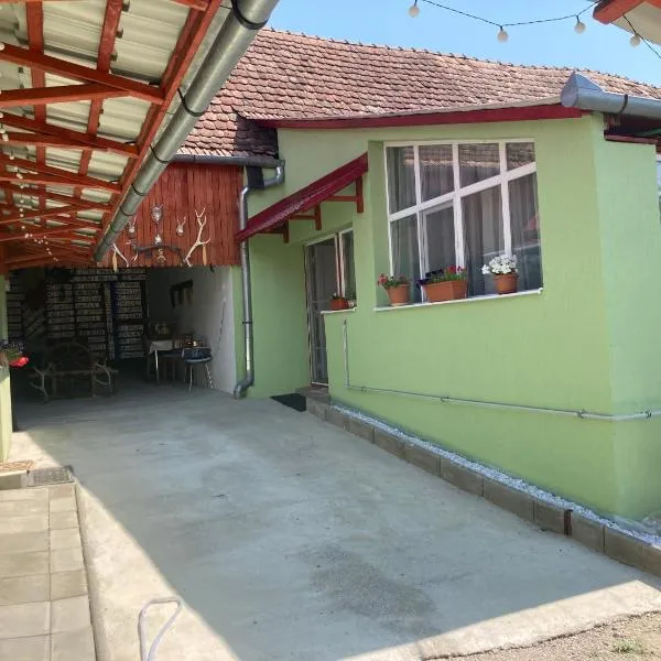 Rustic Rooms，位于Ţopa的酒店