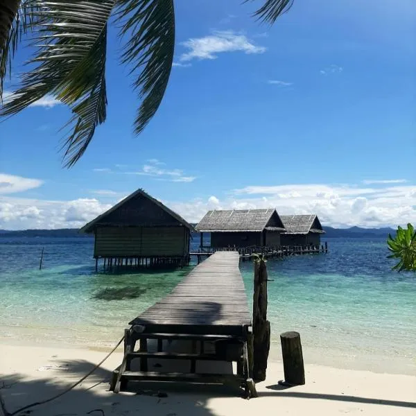 Frances Homestay - Raja Ampat，位于Pulau Mansuar的酒店