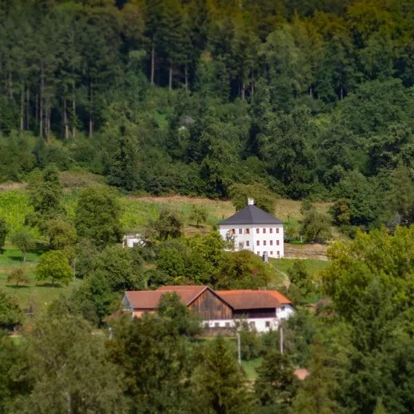 Trattnachtaler Weinhaus，位于萨特勒特的酒店