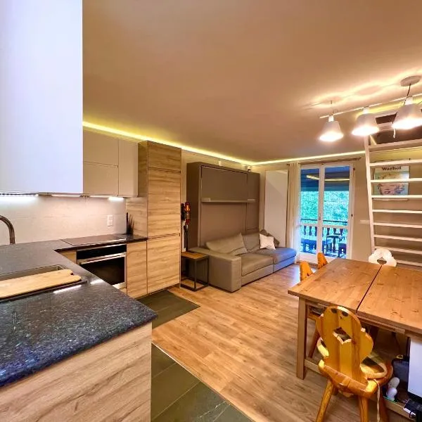 La Baita Limone Riserva Bianca Ski-in Ski-out Seggiovia Morel 1，位于利莫内皮埃蒙特的酒店