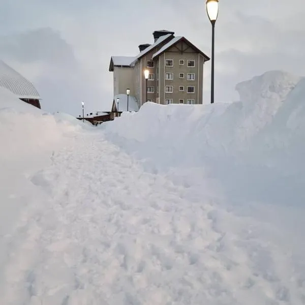 Departamento Valle Nevado, Ski in - Ski out，位于巴耶内瓦的酒店