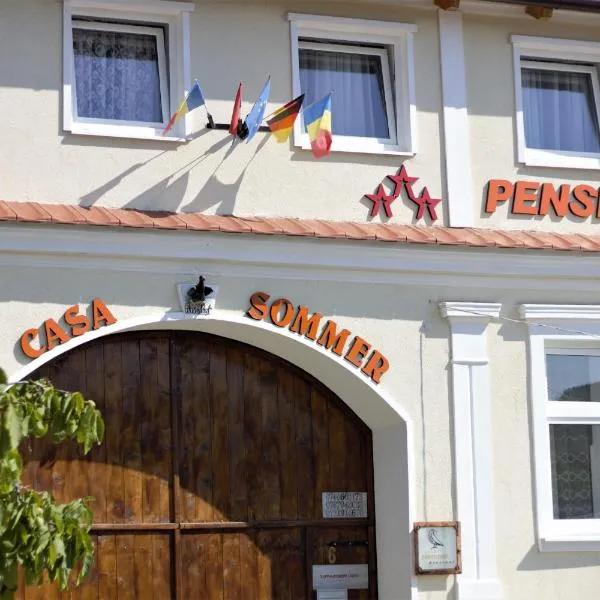 Casa Sommer，位于Petreşti的酒店